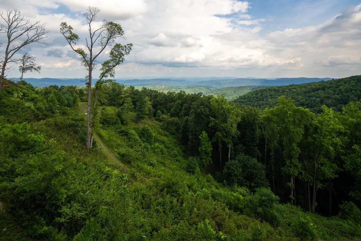 A scenic vantage of the Blue Ridge Mountains with lush greenery and tall trees, ideal for hiking, nature observation, and photography. The mood is serene, with hints of adventure trails and quiet reflection.